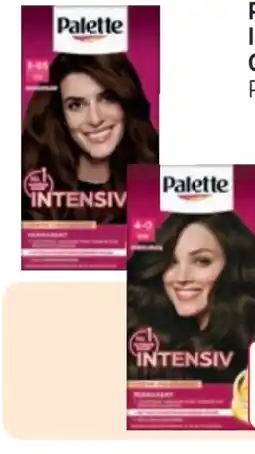 Rossmann Palette Intensive-Creme-Coloration Angebot
