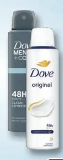 Rossmann Dove Deospray Angebot