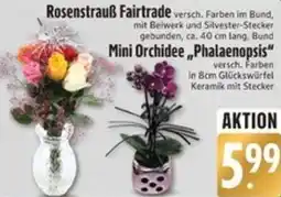 Edeka Rosenstrauß Fairtrade oder Mini Orchidee ,,Phalaenopsis" Angebot