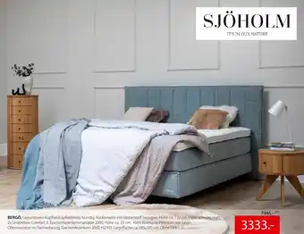 Zurbrüggen Sjöholm bergö Angebot