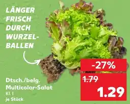 Kaufland Dtsch./belg. multicolor-salat Angebot