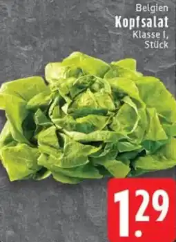 Edeka Belgien Kopfsalat Angebot