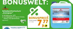 Globus Baumarkt NIGRIN Scheibenfrostschutz „Energizer❝ Angebot