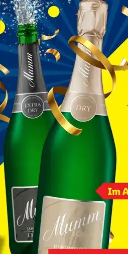 Lidl Mumm & Co. Jahrgangssekt Angebot