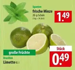 Famila Nord Ost Frische Minze Angebot