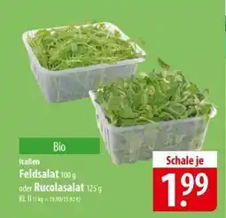 Famila Nord Ost Bio Feldsalat oder Rucolasalat Angebot