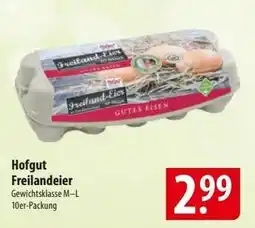 Famila Nord Ost Hofgut Freilandeier Angebot