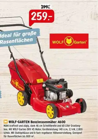 Raiffeisen Markt Wolf-garten Benzinrasenmäher 4600 Angebot