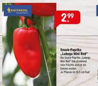 Raiffeisen Markt Snack Paprika „Lubega Mini Red” Angebot