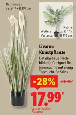 Lidl Livarno Kunstpflanze Angebot