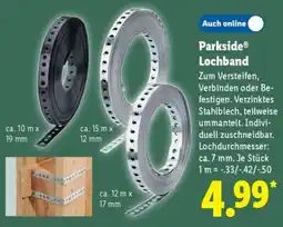 Lidl Parkside Lochband Angebot