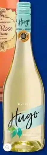 Aldi Süd RAVINI Hugo Angebot