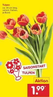 Netto Marken-Discount Tulpen Angebot