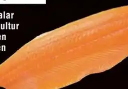 Handelshof Frisches Lachsfilet Angebot