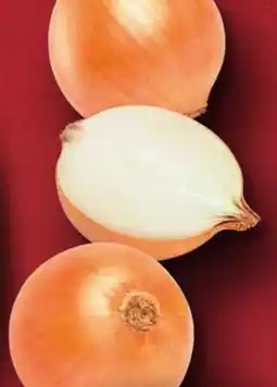 Handelshof Zwiebeln Angebot