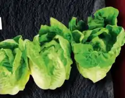 Handelshof Romana-Salatherzen Angebot