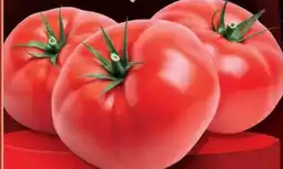 Handelshof Fleischtomaten Angebot
