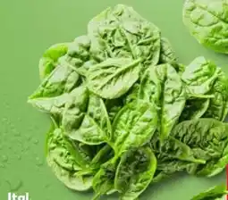 Kaufland Blattspinat Angebot