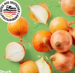 Kaufland Zwiebeln Angebot