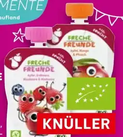 Kaufland Erdbär Freche Freunde Bio-Frucht Snack Angebot