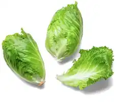 Kaufland Romanasalat Angebot