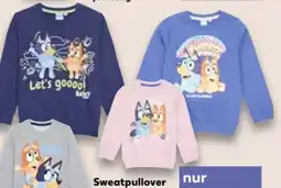 Kaufland Bluey Kinder Sweatpullover Angebot
