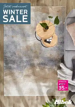 Kibek Kibek stratus Angebot