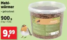 Thomas Philipps Mehlwürmer Angebot