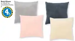 TEDi Basic Kissen Angebot