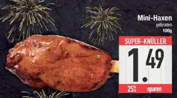 E-Center Mini Haxen Angebot