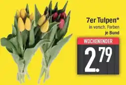 E-Center 7er Tulpen Angebot
