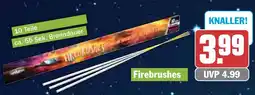 HIT Firebrushes 10 Teile Angebot