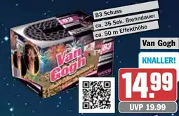 HIT Van Gogh 83 Schuss Angebot