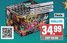 HIT Fiesta 53 Schuss Angebot