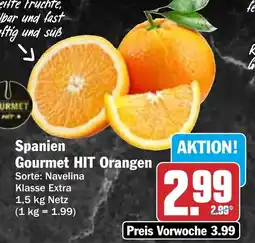 HIT Spanien Gourmet HIT Orangen Angebot