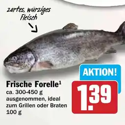 HIT Frische Forelle Angebot