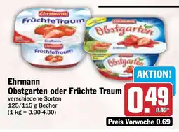 HIT Ehrmann Obstgarten oder Früchte Traum Angebot