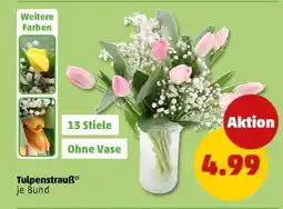 PENNY Tulpenstrauß Angebot