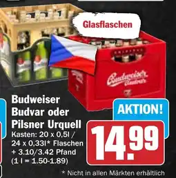 HIT Budweiser Budvar oder Pilsner Urquell Angebot