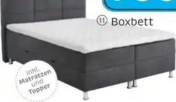 XXXLutz CarryHome Boxbett Angebot