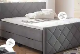 XXXLutz home24 Boxspringbett Angebot