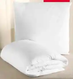 Woolworth Belday Home Federkern Bettwaren Angebot