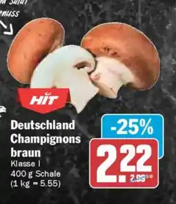 AEZ Deutschland Champignons braun Angebot
