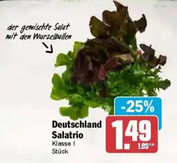 AEZ Deutschland Salatrio Angebot