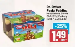 AEZ Dr. Oetker Paula Pudding Angebot