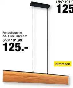 Möbel Martin Pendelleuchte Angebot