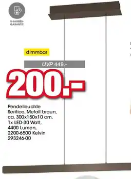 Möbel Martin Pendelleuchte Angebot