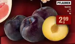 Handelshof PFLAUMEN Angebot