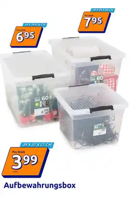 Action Aufbewahrungsbox Angebot