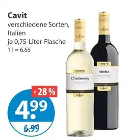 V Markt Cavit chardonnay Angebot